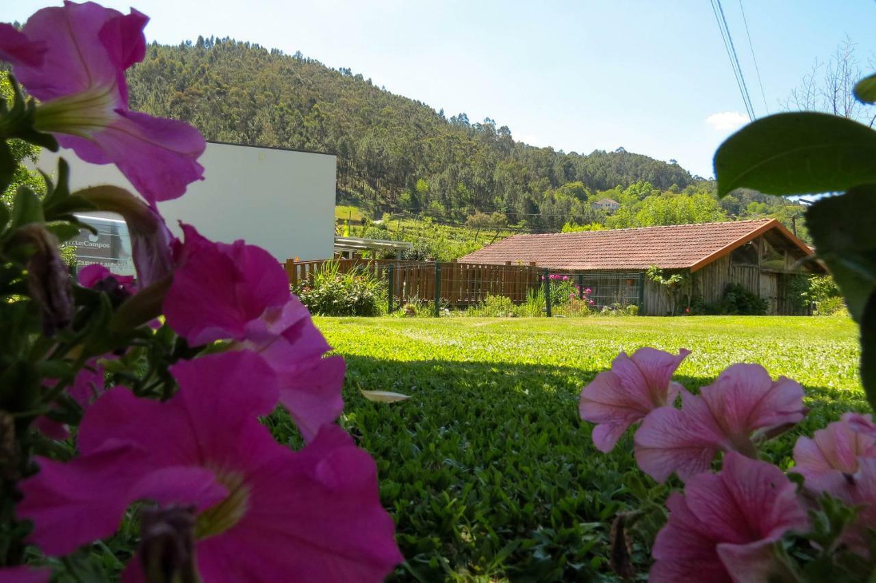 Villa Quinta Do Botas Moimenta Exterior foto
